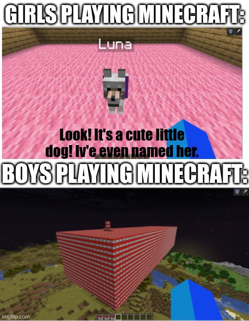 GIRLS PLAYING MINECRAFT:; Look! It's a cute little dog! Iv'e even named her. BOYS PLAYING MINECRAFT: | image tagged in minecraft memes | made w/ Imgflip meme maker