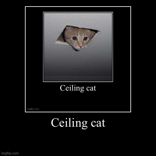 Chain it | Ceiling cat | | image tagged in funny,demotivationals | made w/ Imgflip demotivational maker