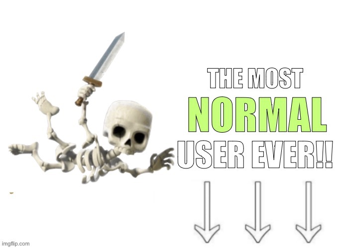 The most normal user ever | image tagged in the most normal user ever | made w/ Imgflip meme maker