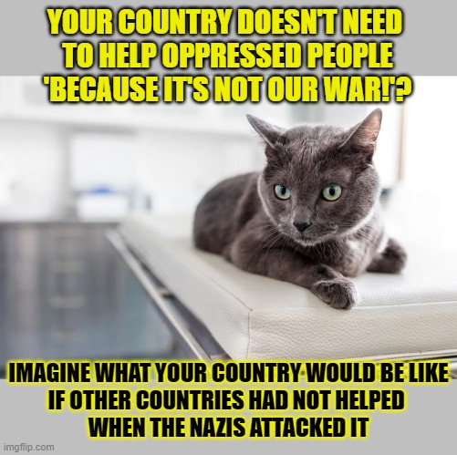 This #lolcat wonders why some refuse to help others | YOUR COUNTRY DOESN'T NEED 
TO HELP OPPRESSED PEOPLE
'BECAUSE IT'S NOT OUR WAR!'? IMAGINE WHAT YOUR COUNTRY WOULD BE LIKE
IF OTHER COUNTRIES HAD NOT HELPED 
WHEN THE NAZIS ATTACKED IT | image tagged in lolcat,selfish,war,oppression | made w/ Imgflip meme maker