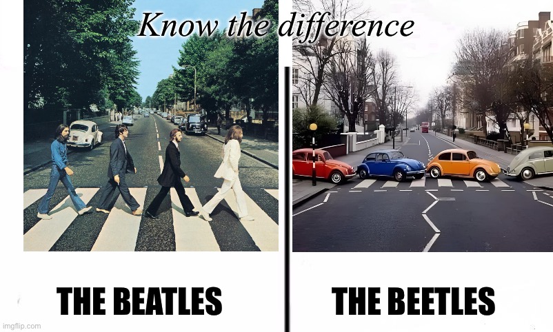 The Beatles | Know the difference; THE BEATLES                  THE BEETLES | image tagged in know the difference psychic and side kick,the beatles,beetle,bug,volkswagen | made w/ Imgflip meme maker
