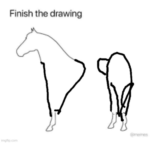 Finish the drawing | image tagged in finish the drawing | made w/ Imgflip meme maker