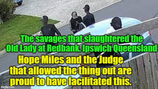 Savages that slaughtered the Old Lady at Redbank, Ipswich | The savages that slaughtered the Old Lady at Redbank. Ipswich Queensland; Hope Miles and the Judge that allowed the thing out are proud to have facilitated this. Yarra Man | image tagged in killers,africans,queensland,australia,judiciary,murder | made w/ Imgflip meme maker