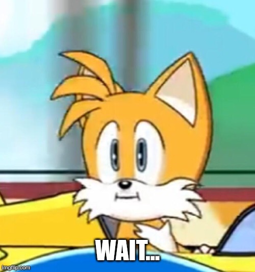Tails hold up | WAIT... | image tagged in tails hold up | made w/ Imgflip meme maker