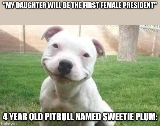 parents of todders really like | "MY DAUGHTER WILL BE THE FIRST FEMALE PRESIDENT"; 4 YEAR OLD PITBULL NAMED SWEETIE PLUM: | image tagged in smiling pitbull,toddler,funny,dead meme,you have been eternally cursed for reading the tags | made w/ Imgflip meme maker