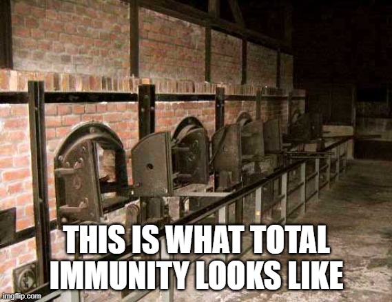 holocaust ovens | THIS IS WHAT TOTAL IMMUNITY LOOKS LIKE | image tagged in holocaust ovens | made w/ Imgflip meme maker