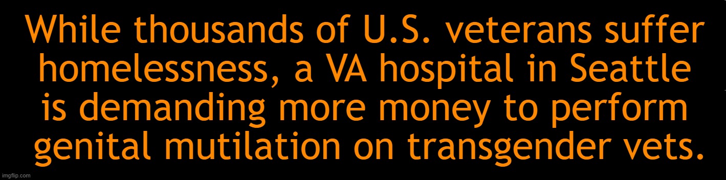 Bizarro World | While thousands of U.S. veterans suffer 
homelessness, a VA hospital in Seattle 
is demanding more money to perform 
genital mutilation on transgender vets. | image tagged in veterans,homeless,mutilation,confusion,trans,priorities | made w/ Imgflip meme maker
