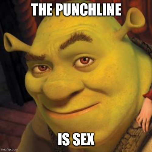 Pretend this is funny | THE PUNCHLINE; IS SEX | image tagged in shrek sexy face | made w/ Imgflip meme maker