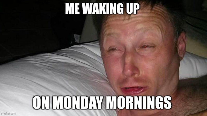 You just don't wake up in Monday and not enjoy it. | ME WAKING UP; ON MONDAY MORNINGS | image tagged in limmy waking up | made w/ Imgflip meme maker