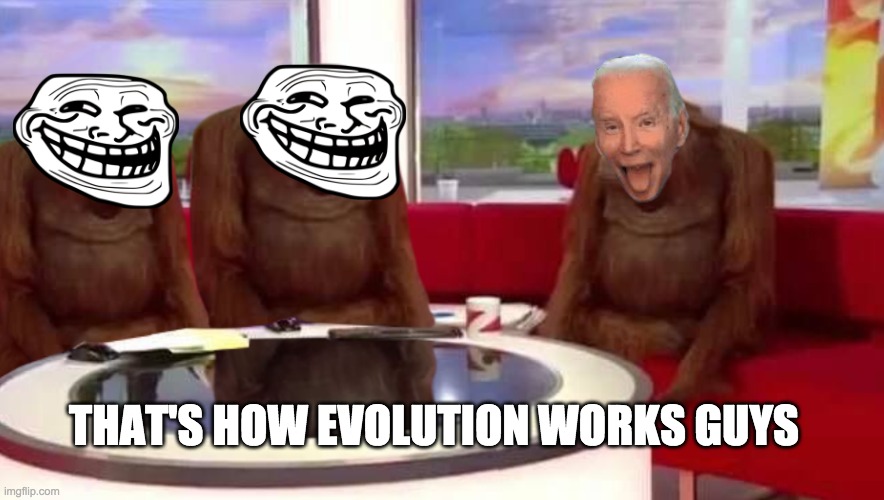 evolution of human | THAT'S HOW EVOLUTION WORKS GUYS | image tagged in where monkey | made w/ Imgflip meme maker