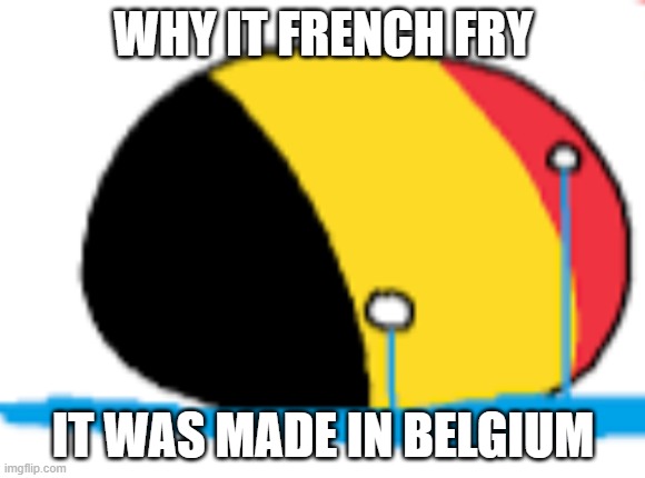 French fry | WHY IT FRENCH FRY; IT WAS MADE IN BELGIUM | image tagged in belgium is crying,french fries | made w/ Imgflip meme maker