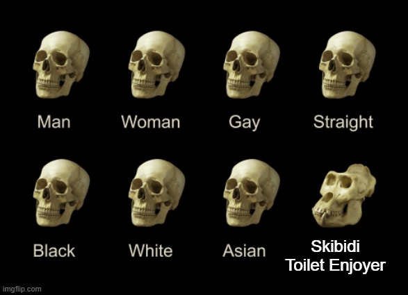 Dumb Skull Meme | Skibidi Toilet Enjoyer | image tagged in dumb skull meme | made w/ Imgflip meme maker