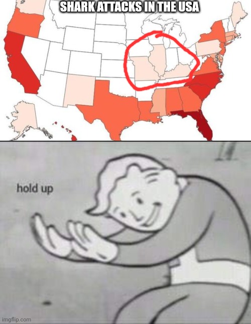 SHARK ATTACKS IN THE USA | image tagged in fallout hold up | made w/ Imgflip meme maker