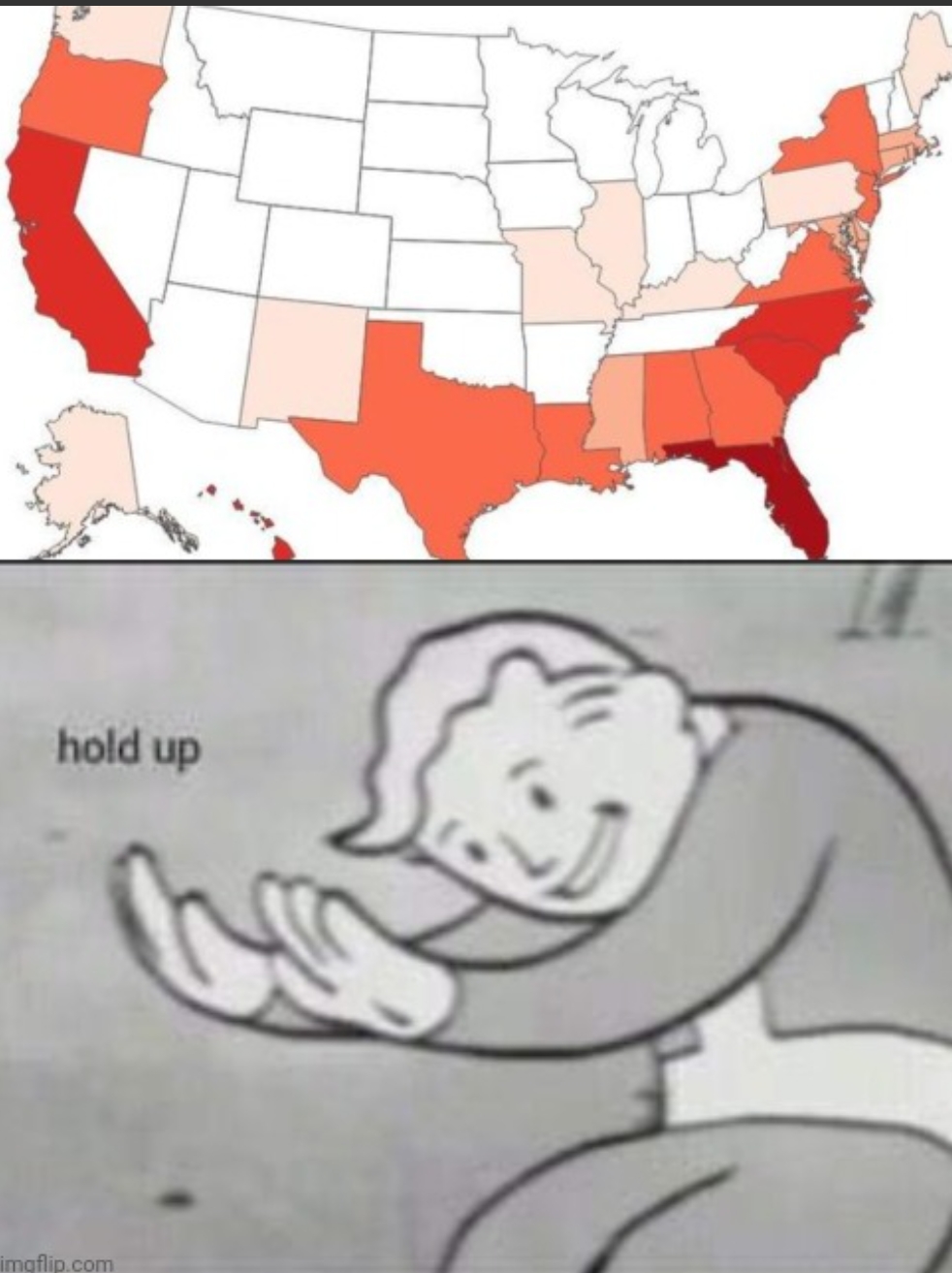 USA hold up Blank Meme Template