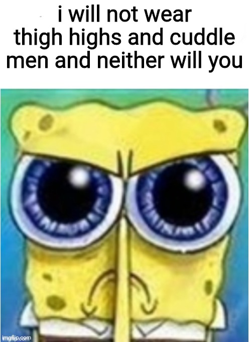 stop (it's funny but ÆAH) | i will not wear thigh highs and cuddle men and neither will you | made w/ Imgflip meme maker