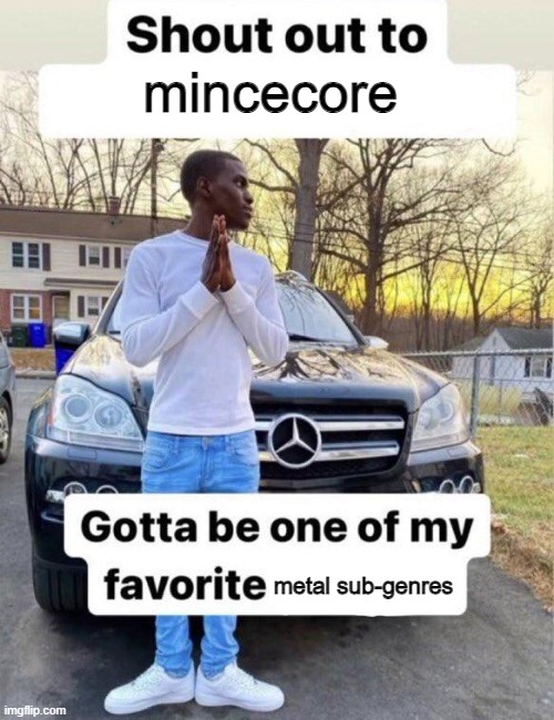 Shout out to my favorite | mincecore; metal sub-genres | image tagged in shout out to my favorite | made w/ Imgflip meme maker