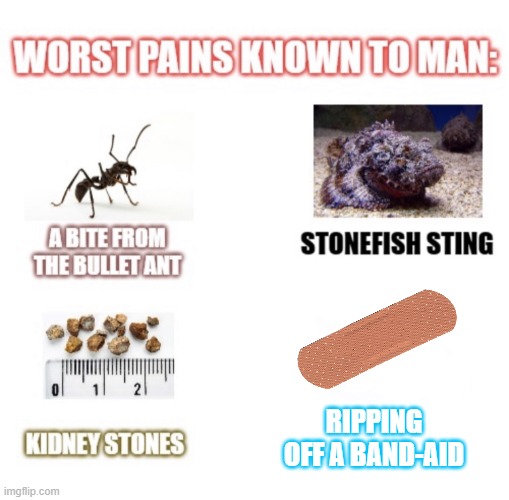 *Ripping sounds* AAAAAAAAAAAAAAAAAAAAAAAAAAAAAAAHH!!! | RIPPING OFF A BAND-AID | image tagged in most painful things known to man,memes,funny,gifs,pain,relatable | made w/ Imgflip meme maker