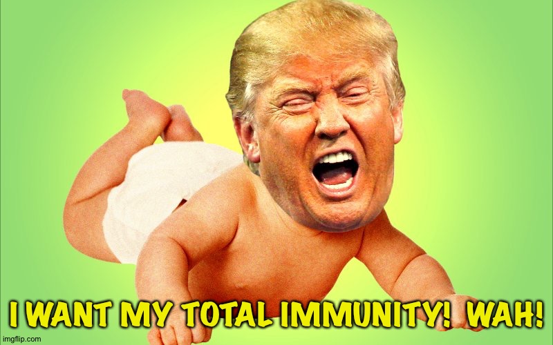 Baby Trump | I WANT MY TOTAL IMMUNITY!  WAH! | image tagged in baby trump | made w/ Imgflip meme maker