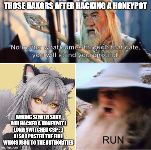 I wonder why they stopped bruteforcing ;) | THOSE HAXORS AFTER HACKING A HONEYPOT; WRONG SERVER SRRY
YOU HACKED A HONEYPOT I LONG SWITCHED CSP ;-)
ALSO I POSTED THE FULL WHOIS JSON TO THE AUTHORITIES | image tagged in no matter what comes through that gate,troll,hacking | made w/ Imgflip meme maker