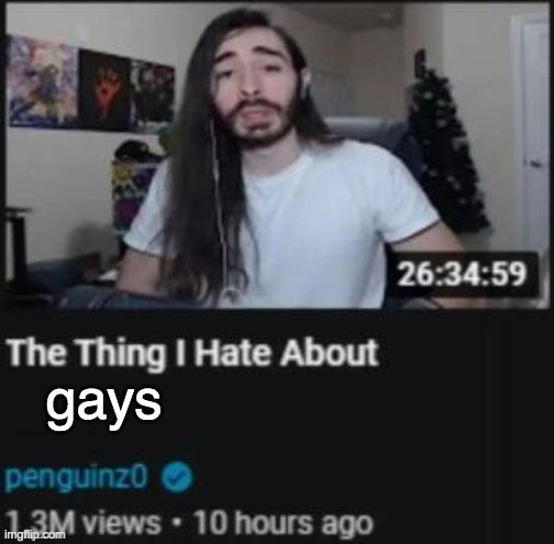 The Thing I Hate About ___ | gays | image tagged in the thing i hate about ___ | made w/ Imgflip meme maker