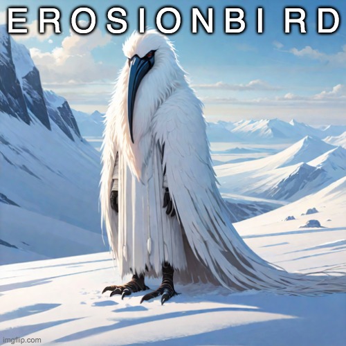 erosion bird 5.0 | E R O S I O N B I  R D | image tagged in erosion bird 5 0 | made w/ Imgflip meme maker