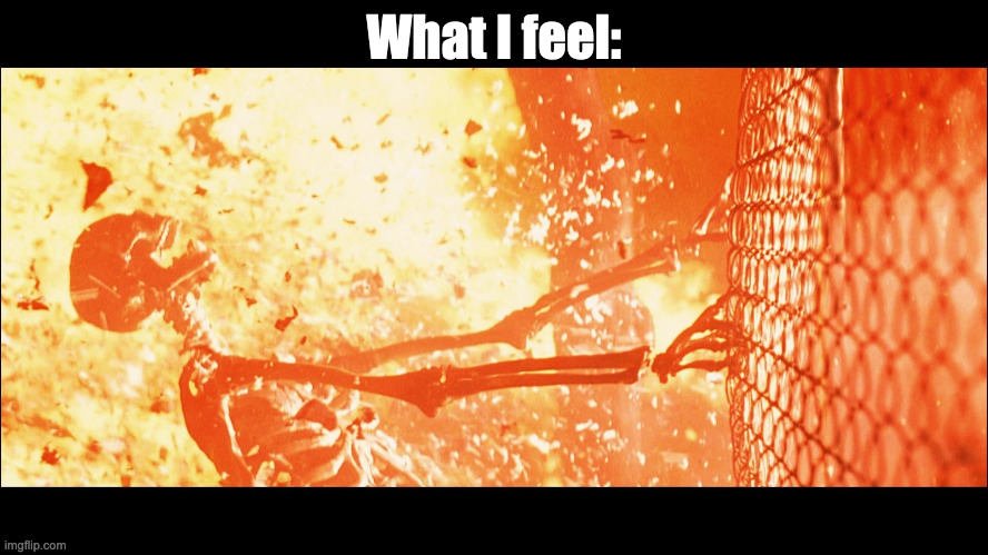 terminator 2 sarah skeleton | What I feel: | image tagged in terminator 2 sarah skeleton | made w/ Imgflip meme maker