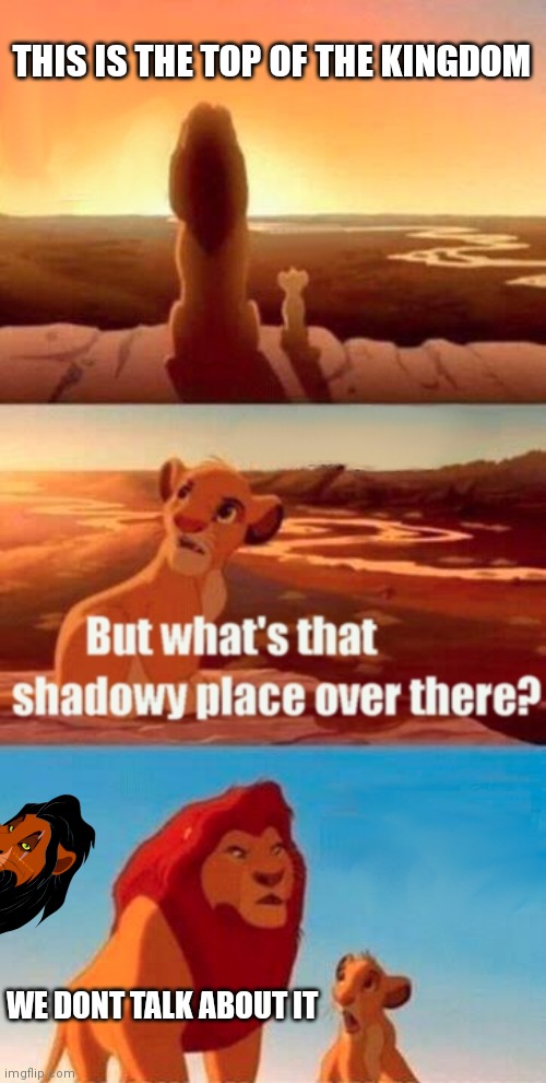 Simba Shadowy Place | THIS IS THE TOP OF THE KINGDOM; WE DONT TALK ABOUT IT | image tagged in memes,simba shadowy place | made w/ Imgflip meme maker