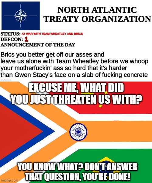 The BRICS did not like that | EXCUSE ME, WHAT DID YOU JUST THREATEN US WITH? YOU KNOW WHAT? DON'T ANSWER THAT QUESTION, YOU'RE DONE! | image tagged in brics flag | made w/ Imgflip meme maker