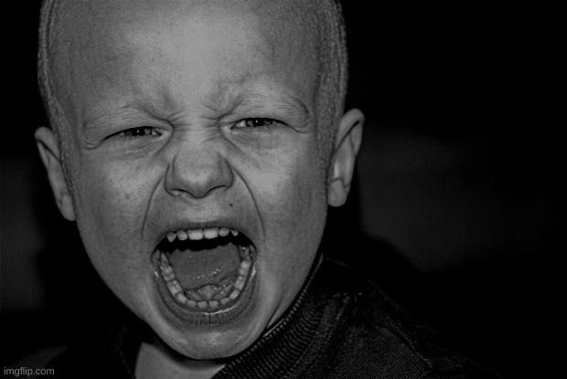 ANGER RAGE SCREAM SHOUT IRRITATION FRUSTRATION ANNOYANCE | image tagged in anger rage scream shout irritation frustration annoyance | made w/ Imgflip meme maker