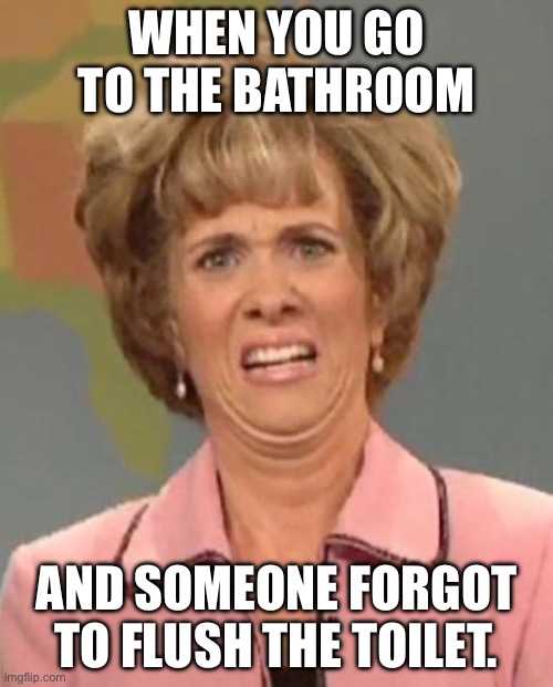 So True | WHEN YOU GO TO THE BATHROOM; AND SOMEONE FORGOT TO FLUSH THE TOILET. | image tagged in disgusted kristin wiig | made w/ Imgflip meme maker