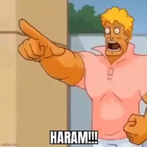 HARAM!! | image tagged in haram | made w/ Imgflip meme maker