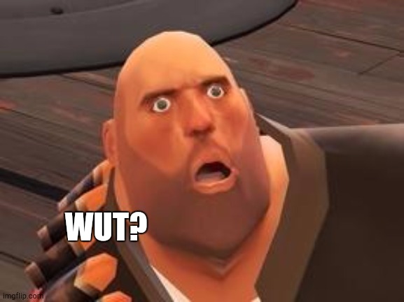 TF2 Heavy | WUT? | image tagged in tf2 heavy | made w/ Imgflip meme maker