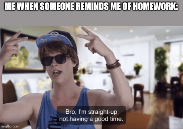 Bro, I'm straight-up not having a good time | ME WHEN SOMEONE REMINDS ME OF HOMEWORK: | image tagged in bro i'm straight-up not having a good time | made w/ Imgflip meme maker