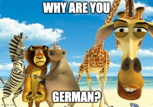 NAKAM! | WHY ARE YOU; GERMAN? | image tagged in madagascar giraffe judging | made w/ Imgflip meme maker