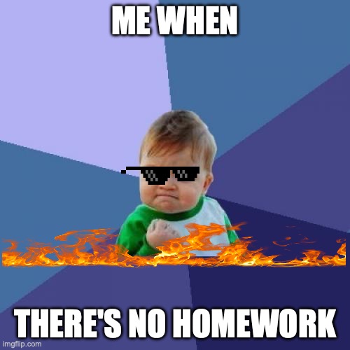 Success Kid | ME WHEN; THERE'S NO HOMEWORK | image tagged in memes,success kid | made w/ Imgflip meme maker