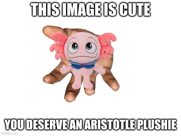 Blank White Template | THIS IMAGE IS CUTE YOU DESERVE AN ARISTOTLE PLUSHIE | image tagged in blank white template | made w/ Imgflip meme maker