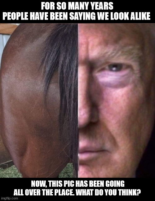 FOR SO MANY YEARS PEOPLE HAVE BEEN SAYING WE LOOK ALIKE; NOW, THIS PIC HAS BEEN GOING ALL OVER THE PLACE. WHAT DO YOU THINK? | made w/ Imgflip meme maker