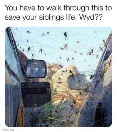 Would you? | image tagged in follow crystal_work on tiktok,plz,funny | made w/ Imgflip meme maker