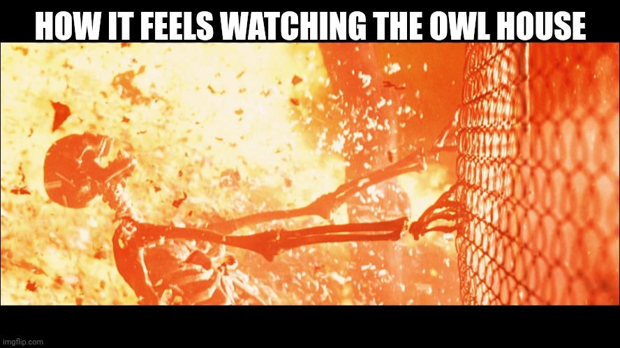It's a show with gay stuff in it | HOW IT FEELS WATCHING THE OWL HOUSE | image tagged in terminator 2 sarah skeleton | made w/ Imgflip meme maker
