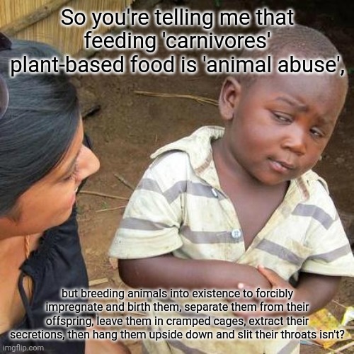 May or may not get flamed in the comments, but either way, I don't care | So you're telling me that feeding 'carnivores' plant-based food is 'animal abuse', but breeding animals into existence to forcibly impregnate and birth them, separate them from their offspring, leave them in cramped cages, extract their secretions, then hang them upside down and slit their throats isn't? | image tagged in memes,third world skeptical kid,vegan,animals,logic,carnivores | made w/ Imgflip meme maker