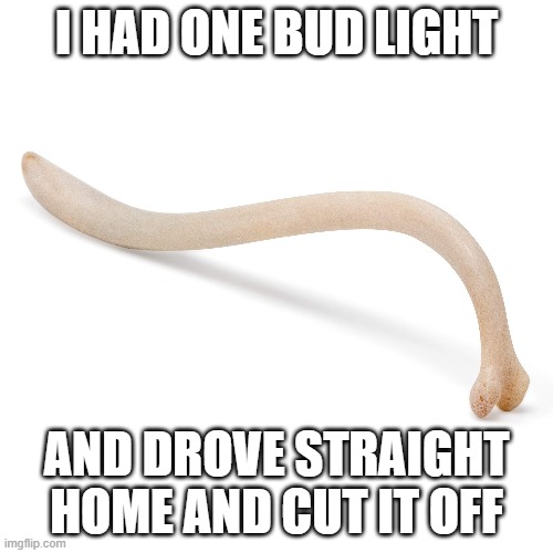 bud light debone | I HAD ONE BUD LIGHT; AND DROVE STRAIGHT HOME AND CUT IT OFF | image tagged in bud light,castration,gay,raccoon,boner,boners | made w/ Imgflip meme maker