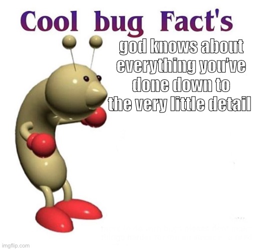 bugs | god knows about everything you’ve done down to the very little detail | image tagged in cool bug facts | made w/ Imgflip meme maker