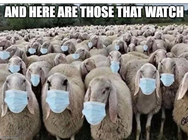Sign of the Sheeple | AND HERE ARE THOSE THAT WATCH | image tagged in sign of the sheeple | made w/ Imgflip meme maker