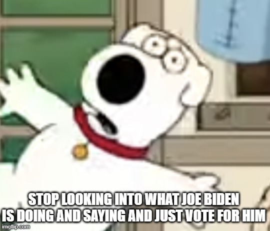 Look Away, People | STOP LOOKING INTO WHAT JOE BIDEN IS DOING AND SAYING AND JUST VOTE FOR HIM | image tagged in family guy | made w/ Imgflip meme maker