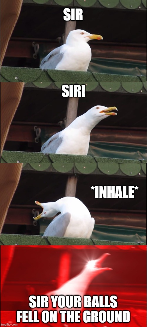 Inhaling Seagull | SIR; SIR! *INHALE*; SIR YOUR BALLS FELL ON THE GROUND | image tagged in memes,inhaling seagull | made w/ Imgflip meme maker