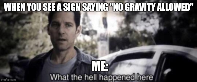 No gravity allowed | WHEN YOU SEE A SIGN SAYING "NO GRAVITY ALLOWED"; ME: | image tagged in what the hell happened here,jpfan102504 | made w/ Imgflip meme maker