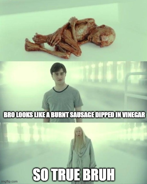 voldemort L | BRO LOOKS LIKE A BURNT SAUSAGE DIPPED IN VINEGAR; SO TRUE BRUH | image tagged in dead baby voldemort / what happened to him | made w/ Imgflip meme maker