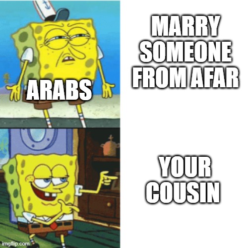 It’s a cultural custom not racist, Reddit | MARRY SOMEONE FROM AFAR; ARABS; YOUR COUSIN | image tagged in spongebob drake format,arab | made w/ Imgflip meme maker