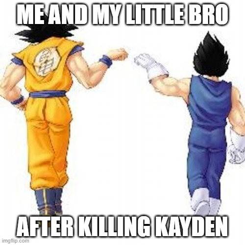 Dragon ball z bros | ME AND MY LITTLE BRO; AFTER KILLING KAYDEN | image tagged in dragon ball z bros | made w/ Imgflip meme maker