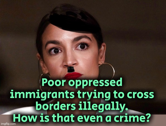 Tell me you racist bigots. How can that be a crime? What kind of fascist constitution is that? | Poor oppressed immigrants trying to cross borders illegally. How is that even a crime? | image tagged in dictator dem,america,illegal immigration,aoc,liberal logic,liberals | made w/ Imgflip meme maker
